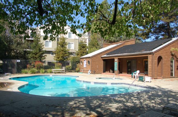 Community Pool and Spa